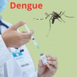 Vacinação contra a dengue: benefícios e recomendações para os moradores do Rio de Janeiro